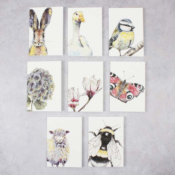 Box of 8 Mixed Notecards - Spring to Summer
