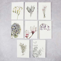 Box of 8 Mixed Notecards - Botanicals