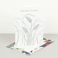 Kew - Birthday Wishes