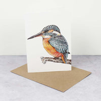 xTC Card - Kingfisher